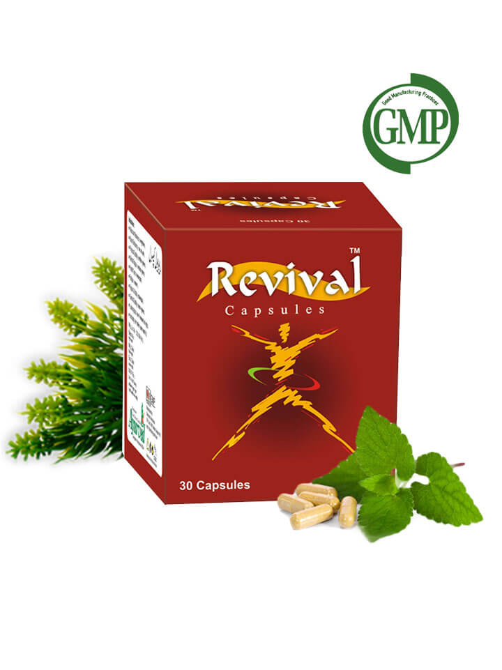 Herbal Energy Supplements
