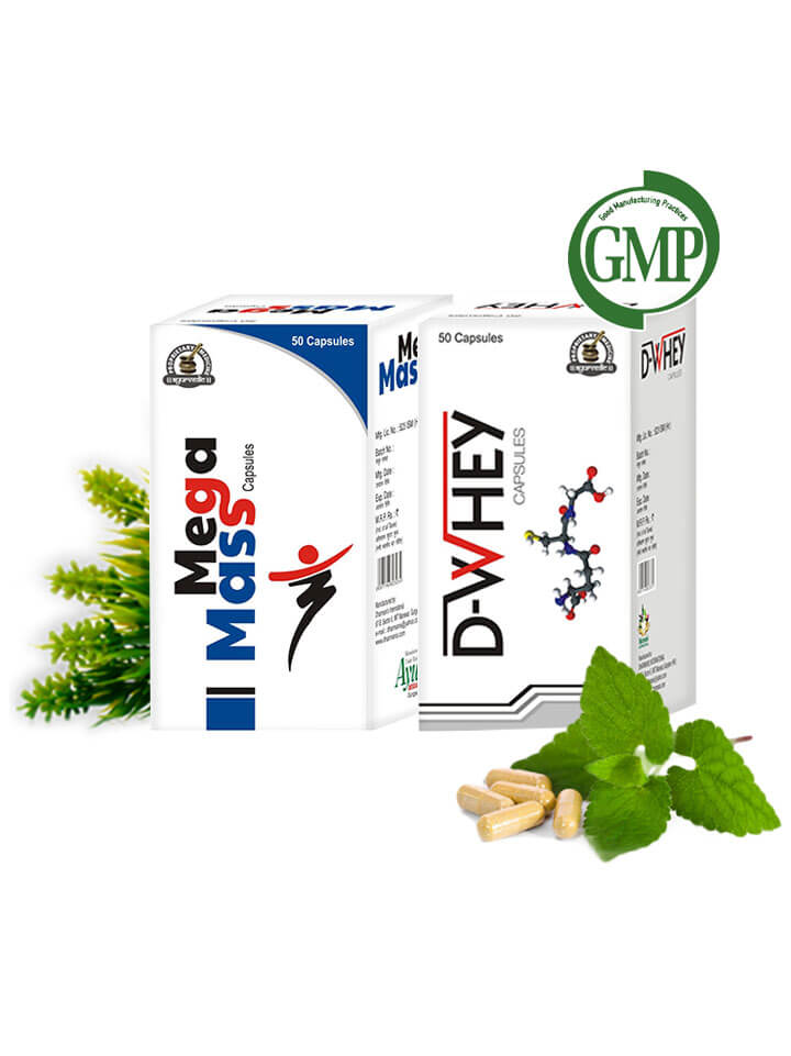 Natural Mass Gainer Supplements