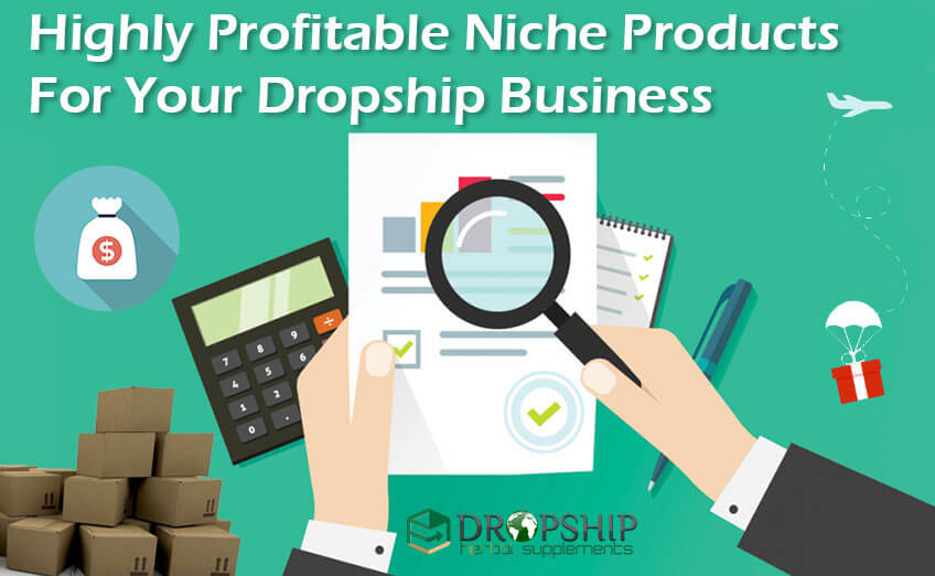 Niche Products For Dropship Business