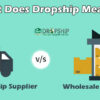 What Does Dropship Mean